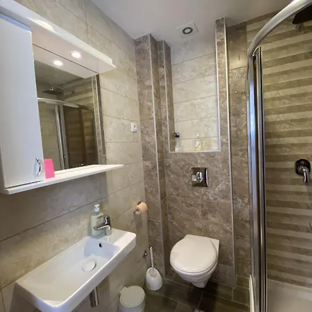 Krsic 5477399 * Palisat