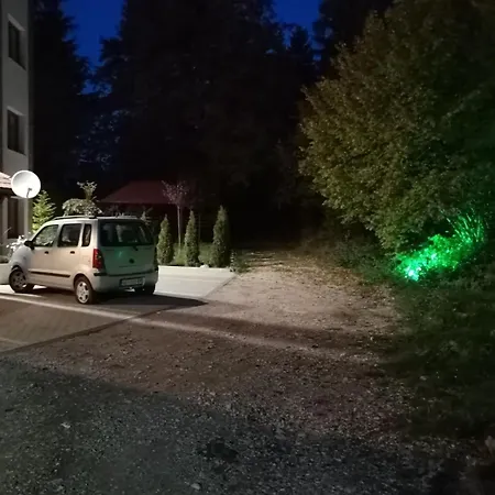 Krsic 5477399 * Palisat