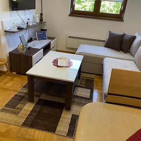 Krsic 5477399 * Palisat