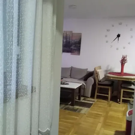 Krsic 5477399 Palisat