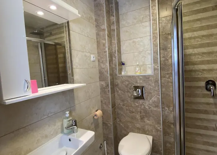 Krsic 5477399 * Palisat